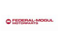 Federal-Mogul Motorparts recrutează